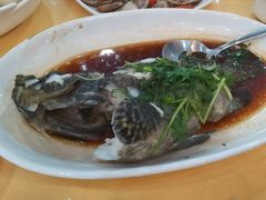 青斑-鹏城人家海鲜酒家·23年老字号(较场尾店)