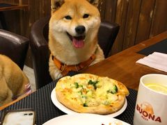 -百好乐宠物友好餐厅(朝外大街店)