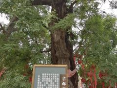 -水峪民俗村