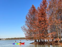-上海海湾国家森林公园