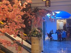 -船泊丽港(统一路店)