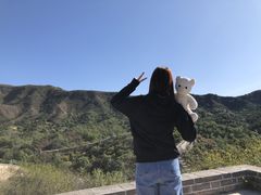 -紫荆关