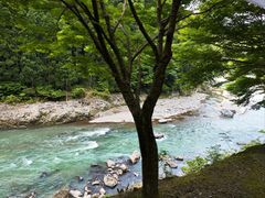 -岚山嵯峨野观光小火车