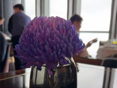 -珠海瑞吉酒店·宴庭中餐厅