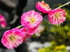 -静安雕塑公园