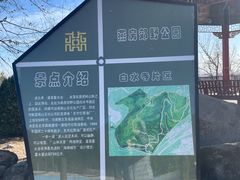 -白水寺森林公园