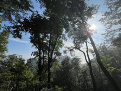 -武当山风景区