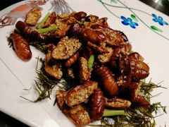 -聚缘堂·海鲜私房菜(松岭路店)