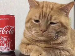 -FAELING PETS美天灵宠物(富力广场店)