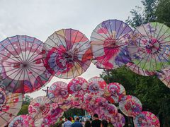 -赵州桥景区