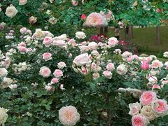 -人民公园(罗湖区)