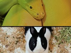 -海合安武汉极地海洋公园