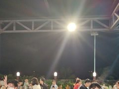 -渔家火锅·海鲜自助餐·演艺(亚龙湾天域酒店)