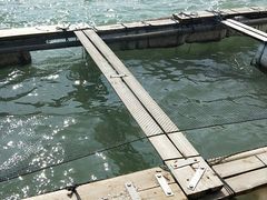 -罗源湾8号渔排