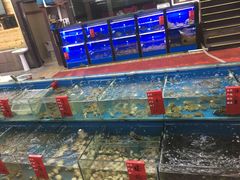 -阳光海鲜大排档