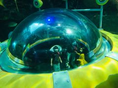 -瑞普利水族馆