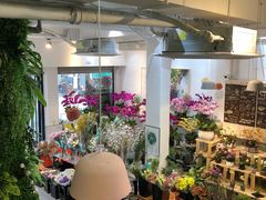 -溪岸路花鸟市场