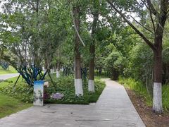 -洋湖国家湿地公园