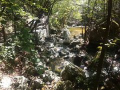 -青峰峡国家森林公园