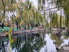 -南长河公园