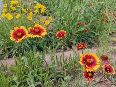 -永定河休闲森林公园