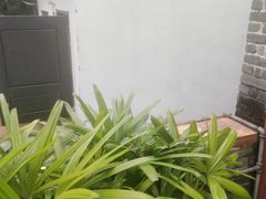 -荔湾博物馆
