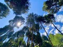 -仙海旅游度假区