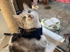 -贝康宠物医院·犬猫全科·小动物特色诊疗中心(东环路店)