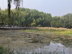 -望湖公园
