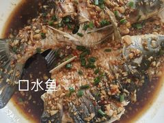 -特色口水鱼馆