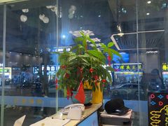 -粤顺渔坊·中山脆肉鲩火锅(清湖店)