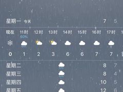 -汪记鲜鱼糊汤粉(沈阳路总店)