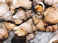 -圣廷苑酒店·廷韵咖啡厅(深圳中洲圣廷苑酒店)