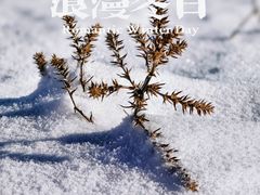 -丰宁坝上草原