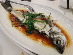 -强记湛江鸡饭店·二十七年老字号(拱北店)