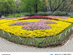 -上海共青森林公园