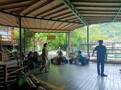 -海南槟榔谷黎苗文化旅游区