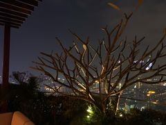 -广州柏悦酒店·悦吧·顶楼露天酒吧