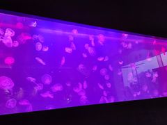 -暹罗泰·泰国餐厅(仁和新城店)