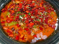 -鸽子窝(青塔店)