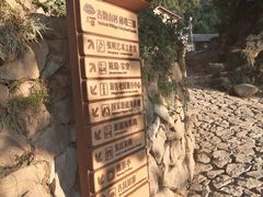 -杨家堂村