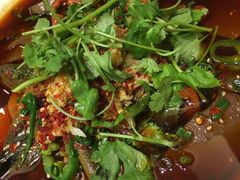 天府毛血旺-上海精菜馆(虎踞关店)
