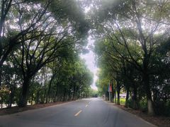 -上海海湾国家森林公园