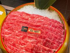 -牛New寿喜烧(金鹰世界店)