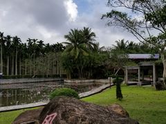 -红色娘子军纪念园