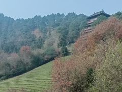 -敬亭山风景名胜区