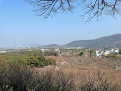 -香雪海