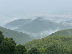 -莫干山风景区