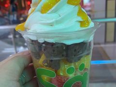 -Salud撒露欧洲冻酸奶(五道口购物中心店)