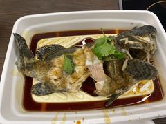 -盒马鲜生(双清路店)